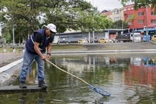 Continúan labores de mantenimiento en las fuentes ornamentales  de Cali 