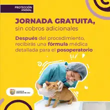 Del 27 al 31 de agosto, participa en las jornadas de esterilización de mascotas  