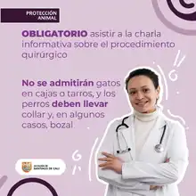 Del 27 al 31 de agosto, participa en las jornadas de esterilización de mascotas  