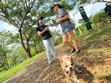 La tenencia responsable de mascotas es también cultura ciudadana