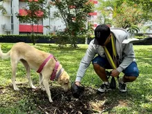 La tenencia responsable de mascotas es también cultura ciudadana
