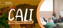 Formación para los ganadores de la convocatoria ¡CALI: Sabores, Sonidos y Escena!