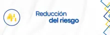 Portada reducción del riesgo