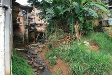 Cali es ejemplo global en sostenibilidad: proyecto de recuperación de hábitat en la Comuna 20 ganó un reconocimiento internacional