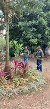 Con 30 nuevos jardines, avanza el plan de recuperación ambiental previo a la COP16