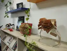 A través de Bibliotecas Escolares, Cali construye espacios clave para fomentar la lectura y el aprendizaje de los estudiantes