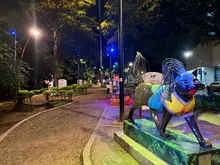 ¡El apoyo de Cali a la selección Colombia Femenina Sub-20 es total! Nueve hitos de la ciudad están iluminados con la bandera tricolor