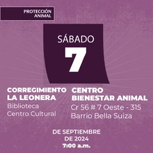 Protección Animal de Cali anuncia la semana de esterilización masiva: todos los días, del 3 al 7 de septiembre, se realizarán dos jornadas simultáneas