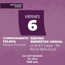 Protección Animal de Cali anuncia la semana de esterilización masiva: todos los días, del 3 al 7 de septiembre, se realizarán dos jornadas simultáneas