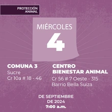 Protección Animal de Cali anuncia la semana de esterilización masiva: todos los días, del 3 al 7 de septiembre, se realizarán dos jornadas simultáneas
