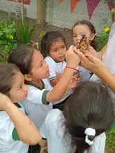 Un aula viva: la conservación de mariposas en la Normal Superior Farallones de Cali