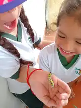 Un aula viva: la conservación de mariposas en la Normal Superior Farallones de Cali