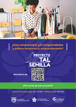 Banner Capital Semilla