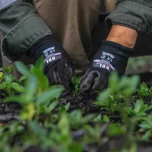 Con la reproducción de más de 43 mil plantas, avanzan en Cali los trabajos de ajardinamiento y renaturalización   