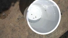 Estudiantes de la Institución Educativa Oficial Pance trabajan en la protección del río Pance con innovadora metodología de análisis