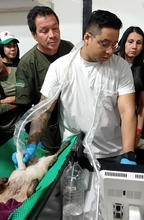Dagma fortalece alianzas estratégicas con autoridades ambientales  regionales para atender y proteger la fauna silvestre