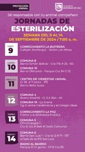 ¡Jornadas de Esterilización Gratuitas en Cali! 