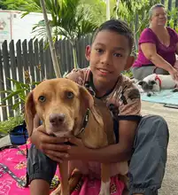¡Jornadas de Esterilización Gratuitas en Cali! 