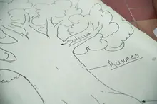 Sumar Paz 2024