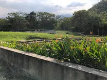 La Planta de Tratamiento de Aguas Residuales de La Vorágine cumple con altos estándares y no contamina el río Pance: Uaesp