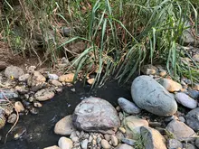 La Planta de Tratamiento de Aguas Residuales de La Vorágine cumple con altos estándares y no contamina el río Pance: Uaesp