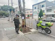 Intentan envenenar un árbol de guayacán en el barrio Tequendama: autoridades ambientales le hacen seguimiento al caso  