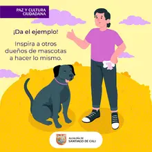 Paseo mascotas