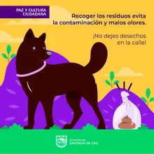 Paseo mascotas