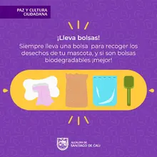 Paseo mascotas