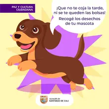 Paseo mascotas