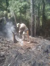 Dagma inició labores para recuperar áreas afectadas por los incendios  forestales en Los Andes