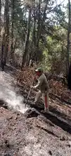 Dagma inició labores para recuperar áreas afectadas por los incendios  forestales en Los Andes