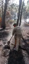 Dagma inició labores para recuperar áreas afectadas por los incendios  forestales en Los Andes