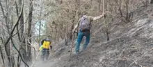 Dagma inició labores para recuperar áreas afectadas por los incendios  forestales en Los Andes