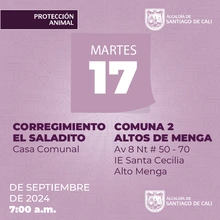 Jornadas de esterilización gratuita en Santiago de Cali continúan esta semana en diferentes comunas