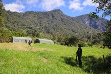 Cali blinda a sus Farallones, una ‘mina de oro’ para la biodiversidad
