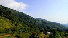 Cali blinda a sus Farallones, una ‘mina de oro’ para la biodiversidad