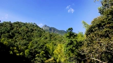 Cali blinda a sus Farallones, una ‘mina de oro’ para la biodiversidad