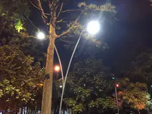 Estos son los beneficios del alumbrado público led que transforma e ilumina la vida de los caleños
