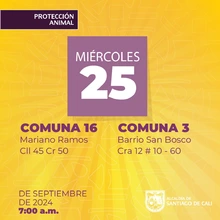 Protección Animal anuncia semana de esterilizaciones gratuitas en Cali