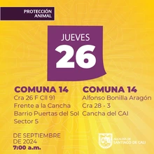 Protección Animal anuncia semana de esterilizaciones gratuitas en Cali