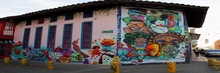 Comité de Arte Público