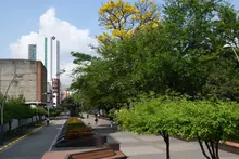 Caleños palpitarán con la COP16 a través de sus zonas extendidas: conozca detalles sobre el ‘Circuito de la Biodiversidad 
