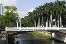 Caleños palpitarán con la COP16 a través de sus zonas extendidas: conozca detalles sobre el ‘Circuito de la Biodiversidad 