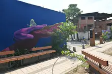 Caleños palpitarán con la COP16 a través de sus zonas extendidas: conozca detalles sobre el ‘Circuito de la Biodiversidad 