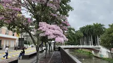 Caleños palpitarán con la COP16 a través de sus zonas extendidas: conozca detalles sobre el ‘Circuito de la Biodiversidad