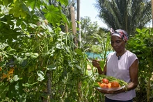 Esperanza y compromiso: los comedores comunitarios combaten el hambre y fortalecen el tejido social en Cali