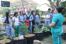 Una experiencia pedagógica promueve el fortalecimiento de la comuna 18 de Cali como un territorio de paz ambiental