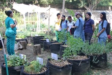 Una experiencia pedagógica promueve el fortalecimiento de la comuna 18 de Cali como un territorio de paz ambiental