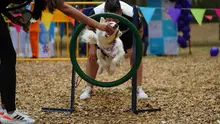 Cifras positivas en programas y eventos: el balance de la Secretaría del Deporte y la Recreación durante su rendición de cuentas 